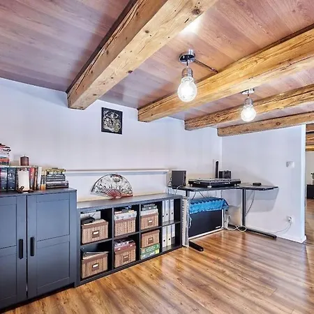 Cozy Loft With Terrace In The Center * 브라티슬라바